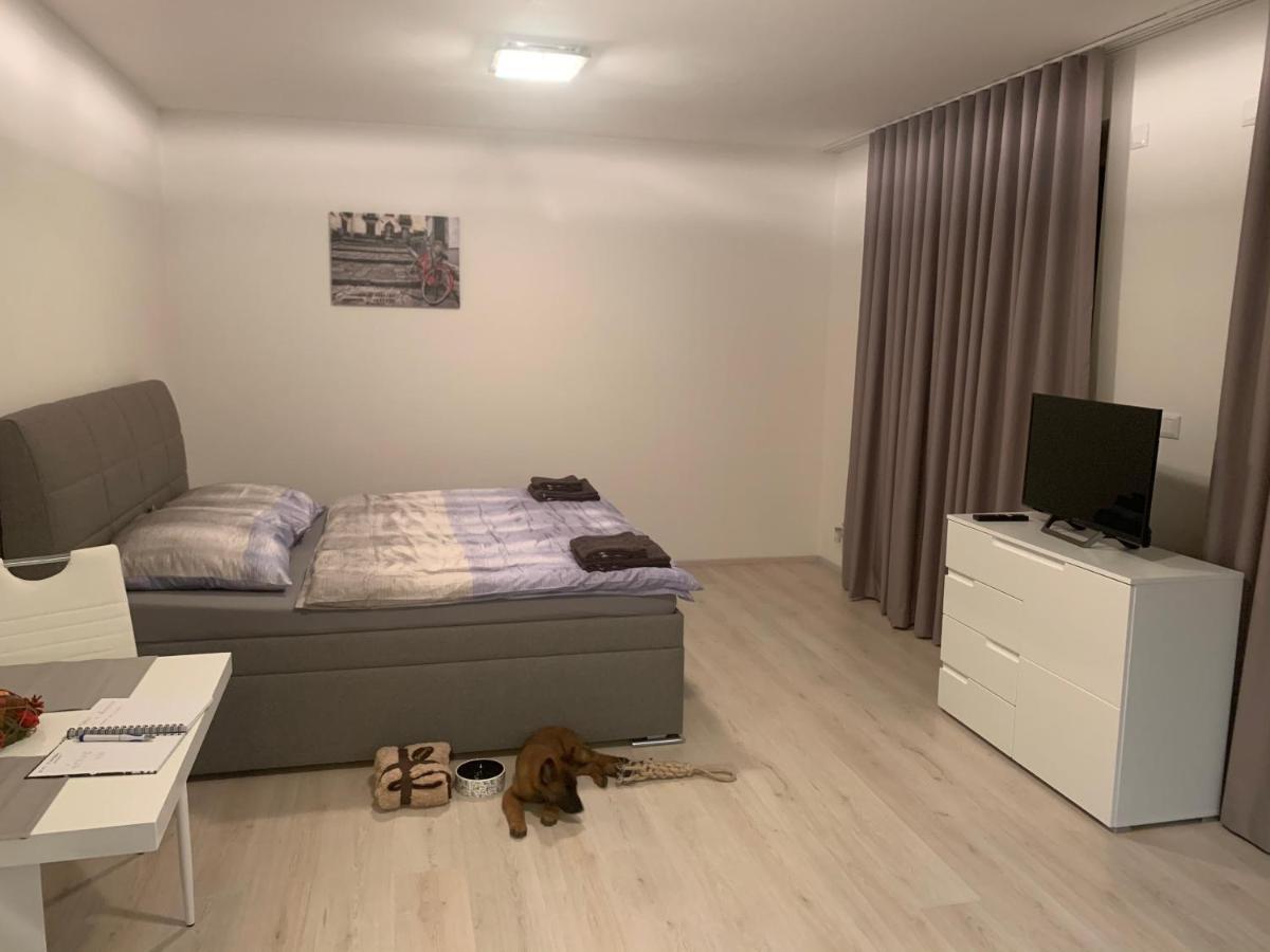 Modern Apartment In The City Center Plzen Bagian luar foto
